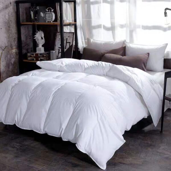 Down Duvet Winter Goose Core Air Conditioner