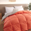 Down Duvet Winter Goose Core Air Conditioner Down Duvet Winter Goose Core Air Conditioner