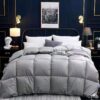 Down Duvet Winter Goose Core Air Conditioner Down Duvet Winter Goose Core Air Conditioner