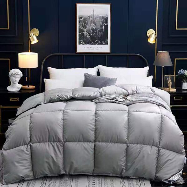 Down Duvet Winter Goose Core Air Conditioner Down Duvet Winter Goose Core Air Conditioner