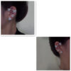 Fashion Earring Butterfly Ear Clip and Ear Hook Jewelry Fashion Earring Butterfly Ear Clip and Ear Hook Jewelry