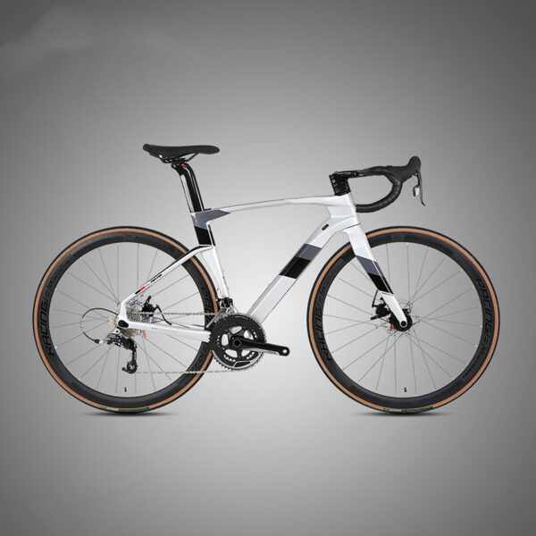 Fully Hidden Carbon Fiber Disc Brake Road Car Variable Speed Sports Fully Hidden Carbon Fiber Disc Brake Road Car Variable Speed Sports