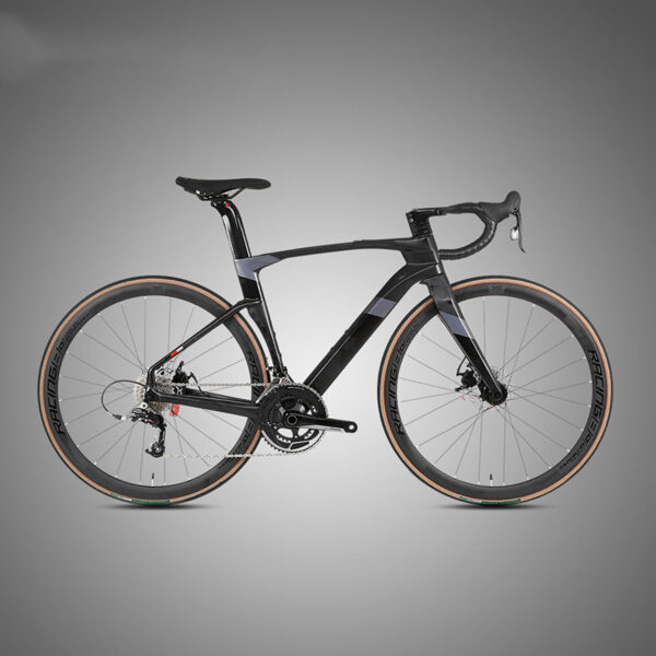 Fully Hidden Carbon Fiber Disc Brake Road Car Variable Speed Sports