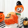 Funny Pumpkin Dog Halloween Costume Pet Cat Thick Plush Decoration Funny Pumpkin Dog Halloween Costume Pet Cat Thick Plush Decoration