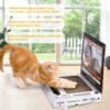 Game Machine Computer Shape Cute Cat Scratch Board Game Machine Computer Shape Cute Cat Scratch Board