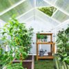 Greenhouse for Winter 10' L X 6' W Walk-in Polycarbonate Greenhouse for Winter 10' L X 6' W Walk-in Polycarbonate
