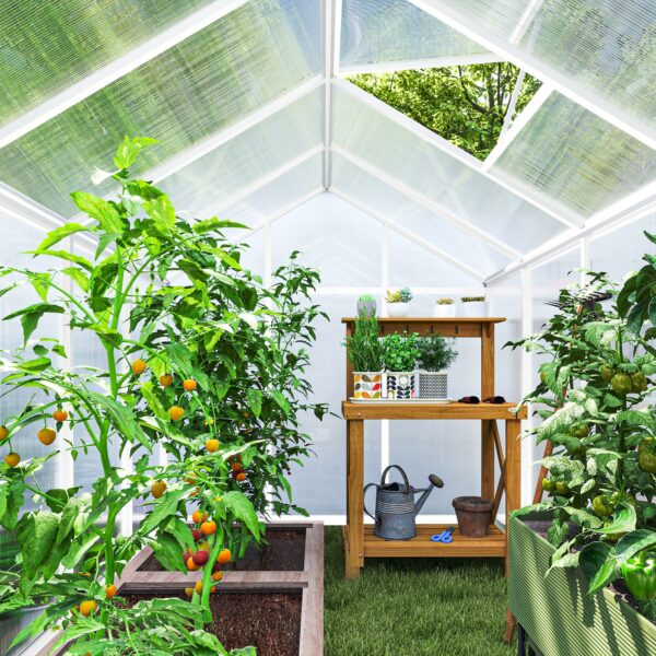 Greenhouse for Winter 10' L X 6' W Walk-in Polycarbonate Greenhouse for Winter 10' L X 6' W Walk-in Polycarbonate
