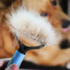 Grooming Brush for Pet Dog Cat Deshedding Tool Rake Comb Fur Remover Grooming Brush for Pet Dog Cat Deshedding Tool Rake Comb Fur Remover