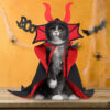 Halloween Pet Vampire Cloak Hat Holiday Suit Halloween Pet Vampire Cloak Hat Holiday Suit