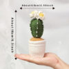 Handmade Crochet Flowering Cactus Pot Ornament Soft Yarn Everlasting Handmade Crochet Flowering Cactus Pot Ornament Soft Yarn Everlasting