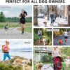 Hands Free Dog Leash Pet Walking and Training Belt with Shock Absorbing Hands Free Dog Leash Pet Walking and Training Belt with Shock Absorbing