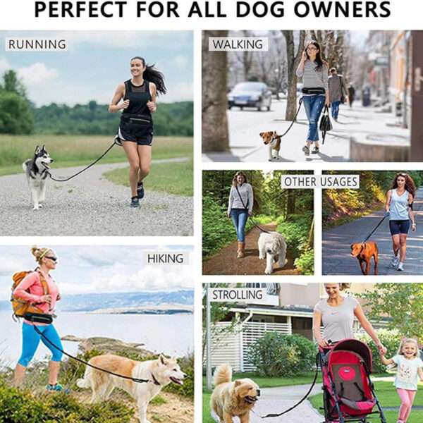 Hands Free Dog Leash Pet Walking and Training Belt with Shock Absorbing Hands Free Dog Leash Pet Walking and Training Belt with Shock Absorbing