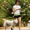Hands Free Dog Leash Pet Walking and Training Belt with Shock Absorbing Hands Free Dog Leash Pet Walking and Training Belt with Shock Absorbing