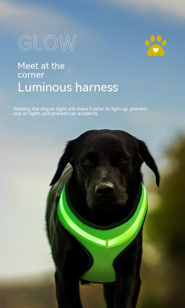 LED Luminous Dog Harness USB Charging Chest Strap Vest Pet Safety