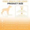 Leg Protector for Dogs Knee Brace Auxiliary Belt Joint Protection Pet Leg Protector for Dogs Knee Brace Auxiliary Belt Joint Protection Pet