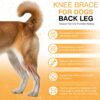 Leg Protector for Dogs Knee Brace Auxiliary Belt Joint Protection Pet Leg Protector for Dogs Knee Brace Auxiliary Belt Joint Protection Pet