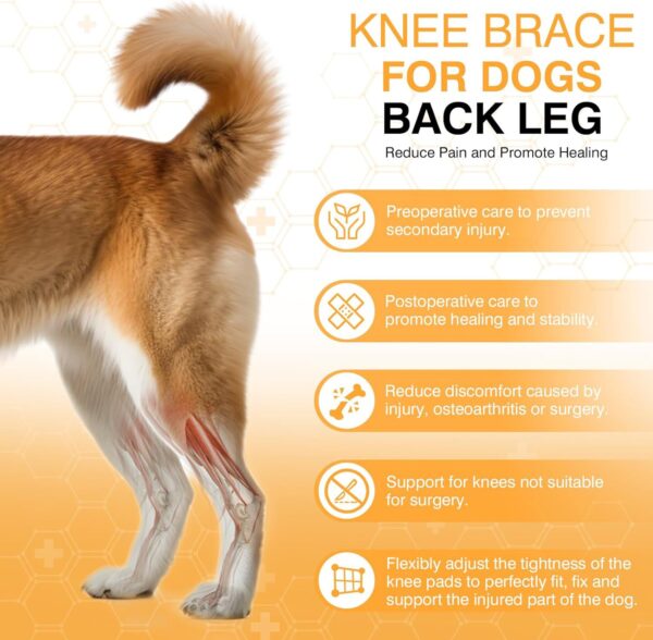 Leg Protector for Dogs Knee Brace Auxiliary Belt Joint Protection Pet Leg Protector for Dogs Knee Brace Auxiliary Belt Joint Protection Pet