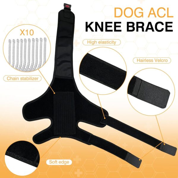 Leg Protector for Dogs Knee Brace Auxiliary Belt Joint Protection Pet