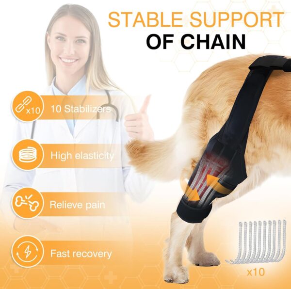 Leg Protector for Dogs Knee Brace Auxiliary Belt Joint Protection Pet Leg Protector for Dogs Knee Brace Auxiliary Belt Joint Protection Pet