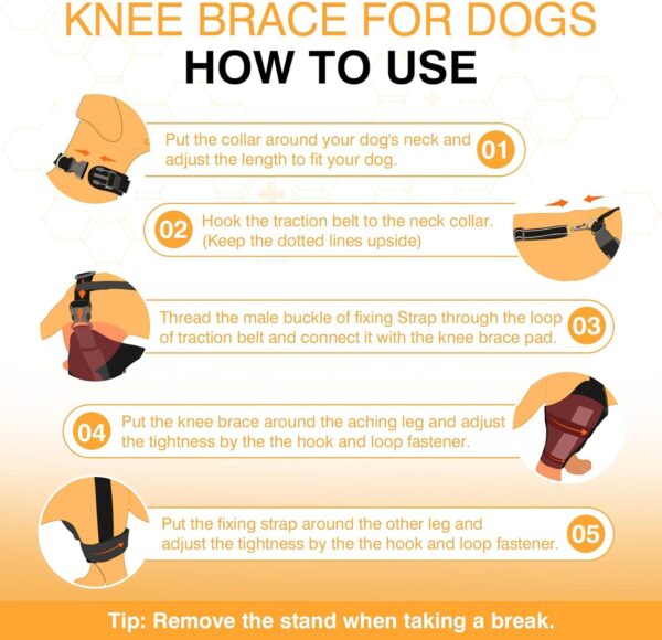 Leg Protector for Dogs Knee Brace Auxiliary Belt Joint Protection Pet Leg Protector for Dogs Knee Brace Auxiliary Belt Joint Protection Pet