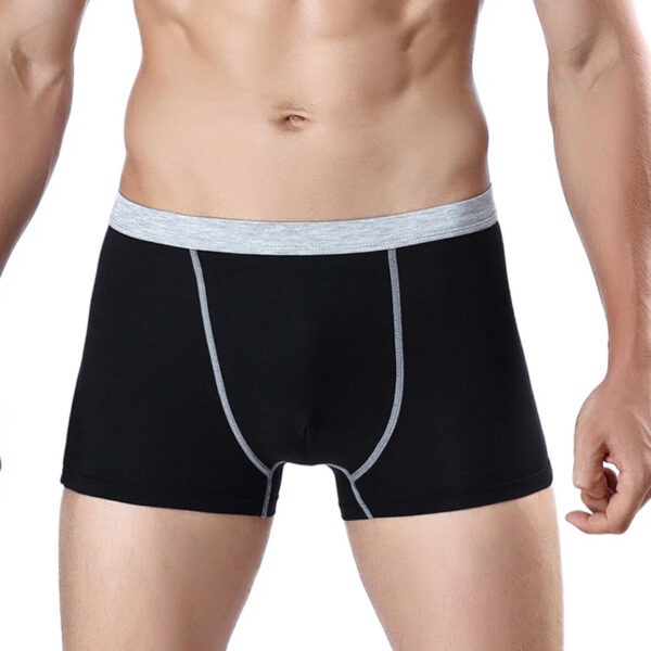 Men's Underwear Men's Boxer Briefs