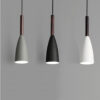Nicolai Nordic Inspired Pendant Light in Black Blue Green and White