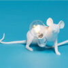 Nordic Creative Resin Mini Animal Mouse Light Nordic Creative Resin Mini Animal Mouse Light