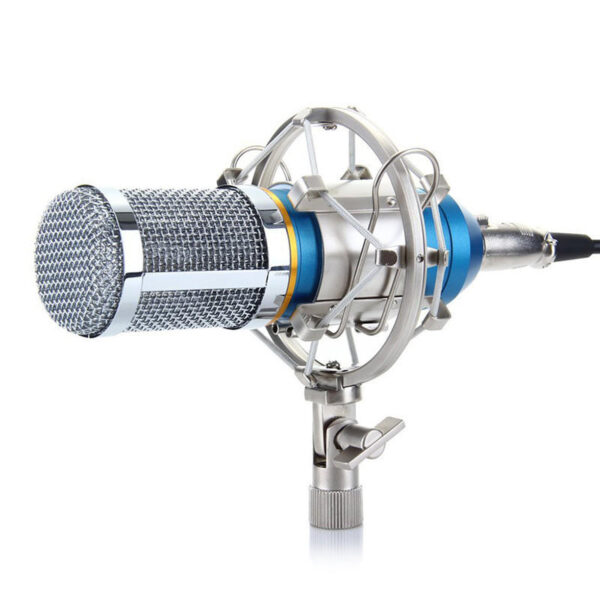 NW 800 Condenser Microphone SHOCK MOUNT POWER CAB