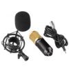 NW 800 Condenser Microphone SHOCK MOUNT POWER CAB