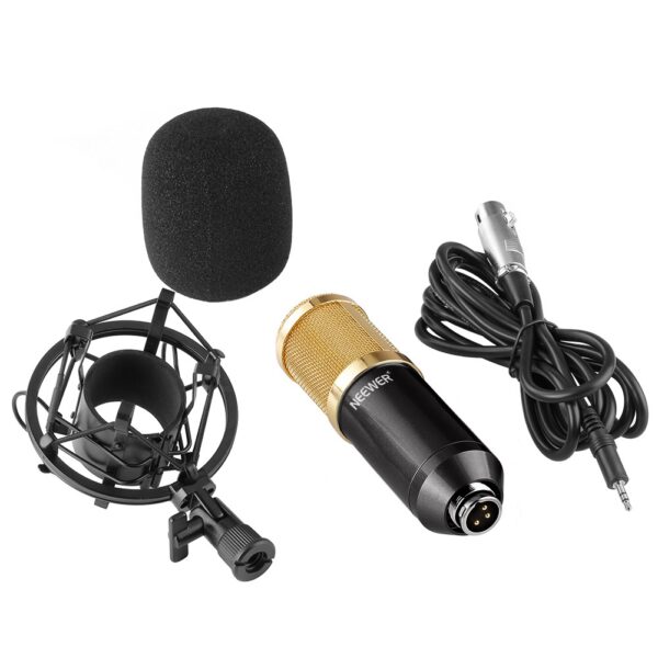 NW 800 Condenser Microphone SHOCK MOUNT POWER CAB