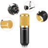 NW 800 Condenser Microphone SHOCK MOUNT POWER CAB