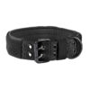 Nylon Anti-grind Dog Leash Collar