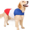 Pet Autumn and Winter Thickened Warmth Water-repellent Down Jacket Pet Autumn and Winter Thickened Warmth Water-repellent Down Jacket