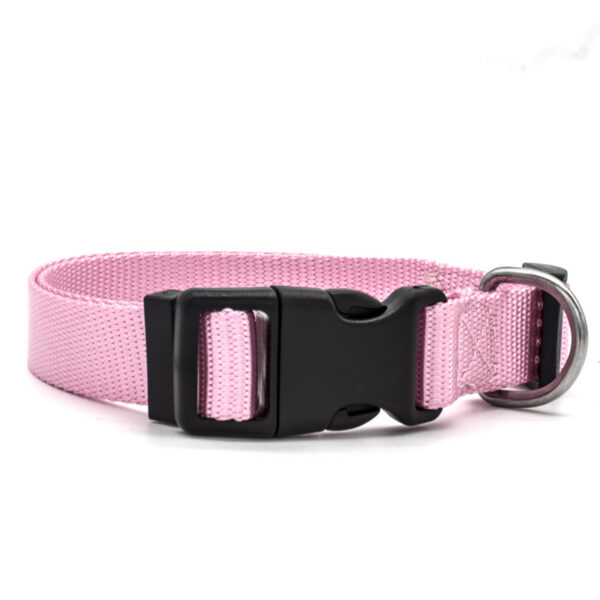 Pet Collar Pet Collar
