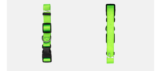 Pet Collar Pet Collar