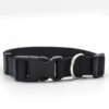 Pet Collar Pet Collar