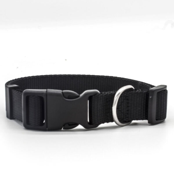 Pet Collar Pet Collar