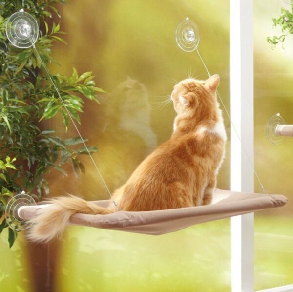 Pet Hanging Beds Cat Sunny Window Seat Mount Hammock Comfortable Shelf