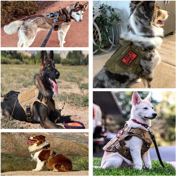 Pet Harness Luxury Dog Leash Set Chest Nylon Camouflage Pet Harness Luxury Dog Leash Set Chest Nylon Camouflage