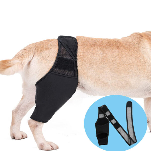 Pet Knee Pads for Joint Injury Recovery Legs Protector Dog Thigh Brace Pet Knee Pads for Joint Injury Recovery Legs Protector Dog Thigh Brace