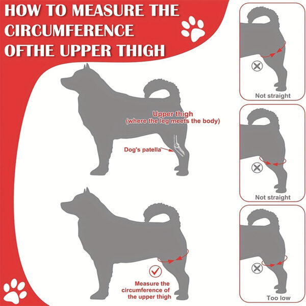 Pet Knee Pads for Joint Injury Recovery Legs Protector Dog Thigh Brace Pet Knee Pads for Joint Injury Recovery Legs Protector Dog Thigh Brace