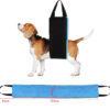 Pet Products Dog Auxiliary Belt Pet Power Pet Products Dog Auxiliary Belt Pet Power