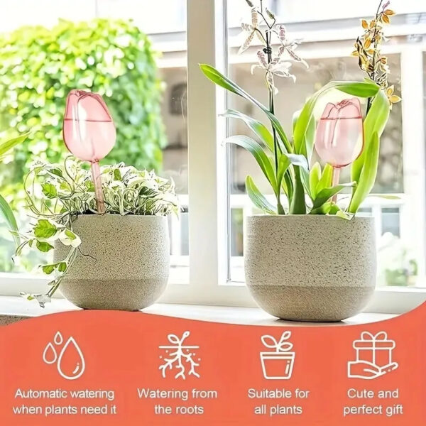 Pink Tulip Plant Watering Balls Suitable for Indoor and Outdoor Plants