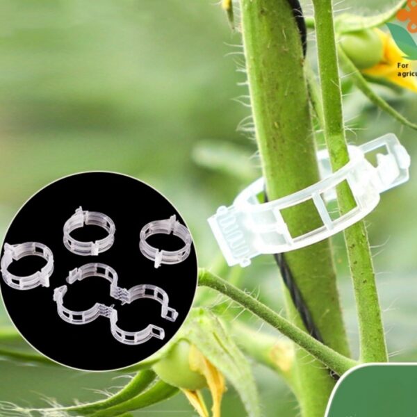 Plant Clipsseedling Hanging Clipplastic Tie Tendril Clipbranch Binding