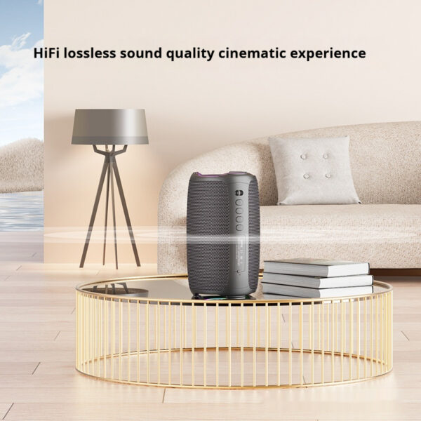 Portable Bluetooth Speaker Home Microphone Wireless Karaoke