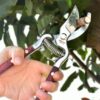 Portable Garden Labor-saving Garden Scissors Tools Portable Garden Labor-saving Garden Scissors Tools
