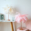 Remote Control Feather Table Lamp USB Battery Power Remote Control Feather Table Lamp USB Battery Power
