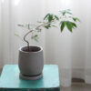 Round Cement Flower Pot Round Cement Flower Pot