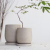 Round Cement Flower Pot Round Cement Flower Pot