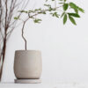Round Cement Flower Pot Round Cement Flower Pot